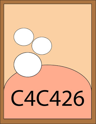C4C426Sketch